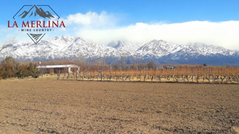 Terrenos La Merlina Country Wine - La Consulta Mendoza