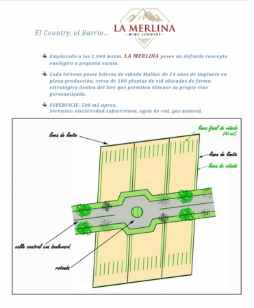 Terrenos La Merlina Country Wine - La Consulta Mendoza