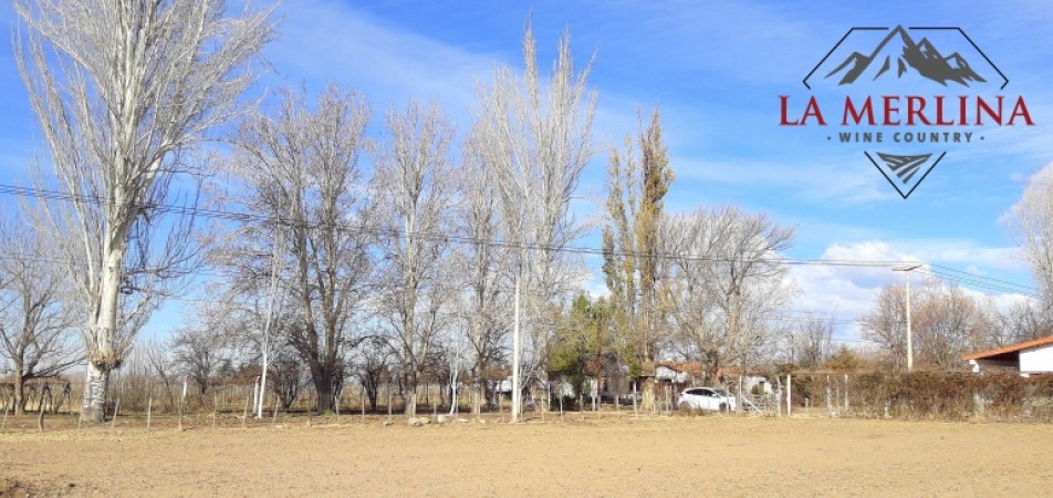 Terrenos La Merlina Country Wine - La Consulta Mendoza